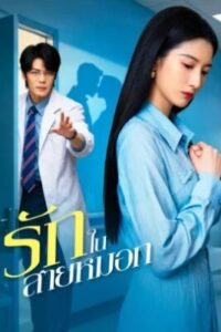 รักในสายหมอก พากย์ไทย (จบ)