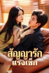สัญญารักอันตราย สัญญารักแรงเช็ก ซับไทย (จบ)